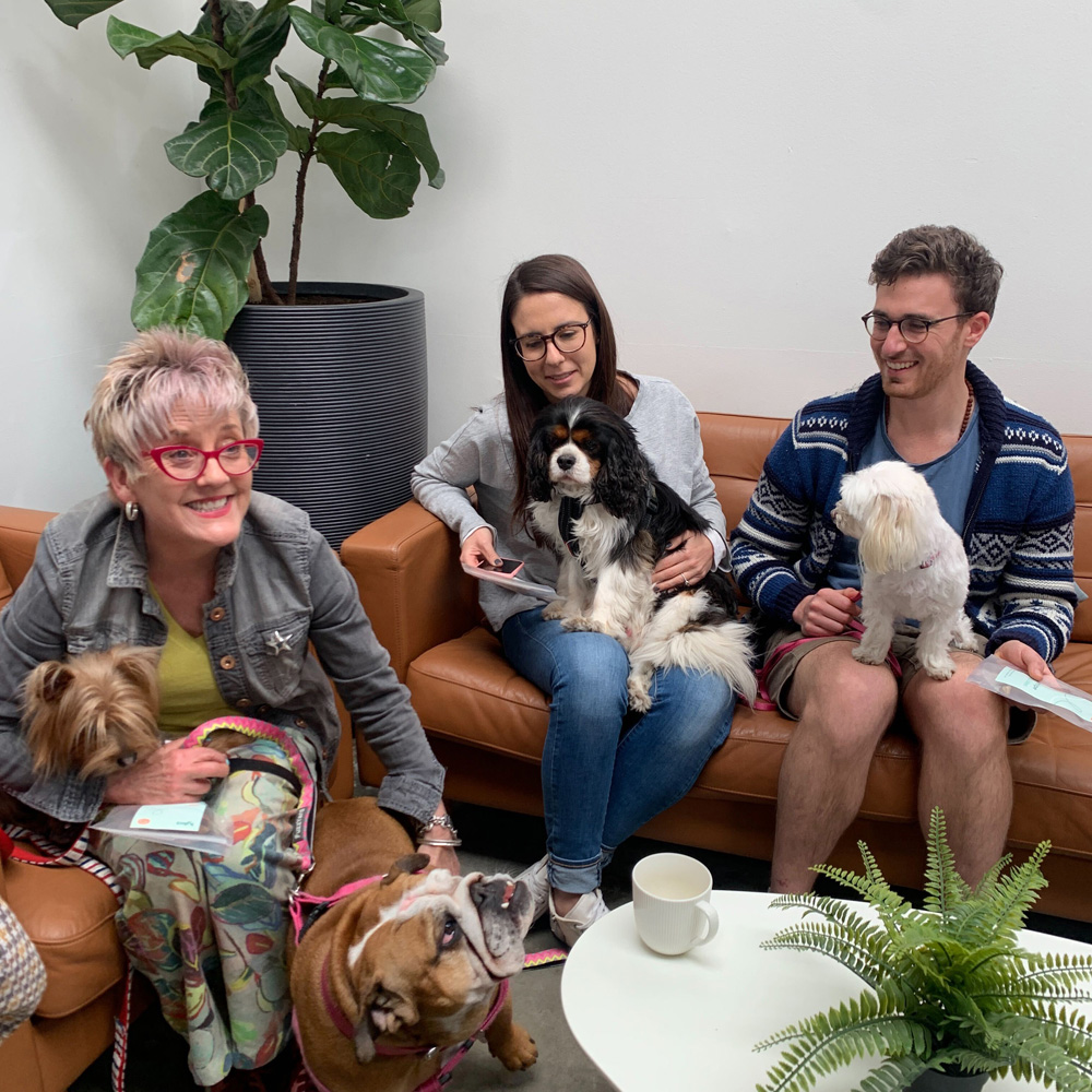 dog-friendly-coworking-workit-spaces Dog Friendly Coworking