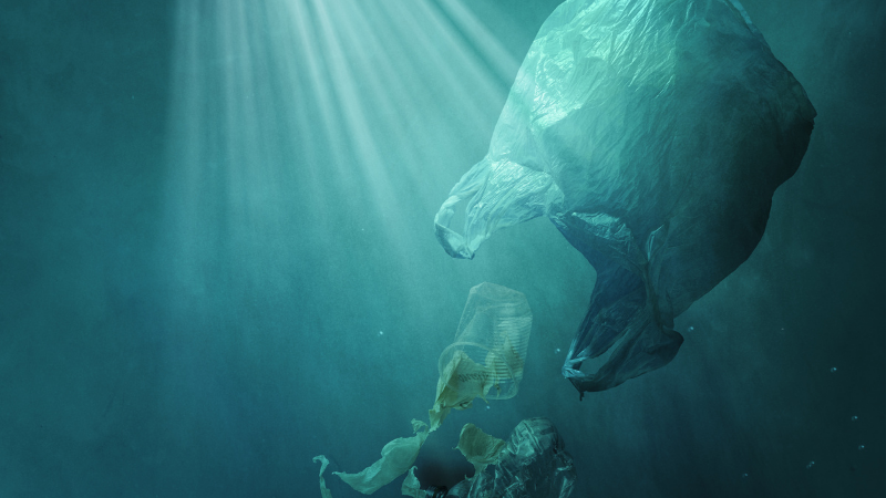Sustainability Reuse thumb picture of plastic bag in the ocean - motivation to reduce single use plastics