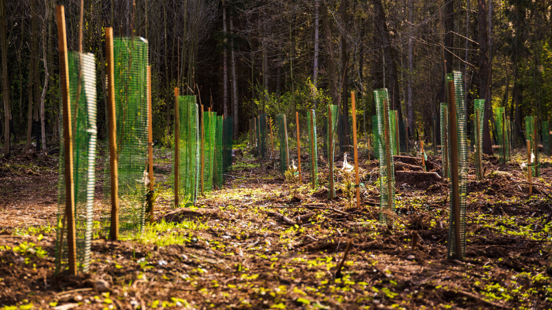 Sustainability thumb Restore tree planting recycling at workit spaces
